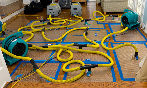 Professional Crawl Space Water Removal technician working in Avoca, PA