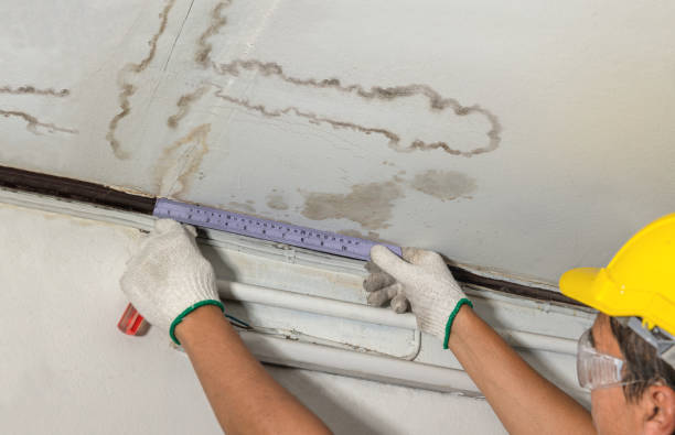 Affordable Water Damage Repair solutions in Avoca, PA